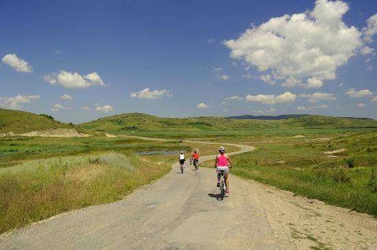 Bikealicious Romania - Day Tours